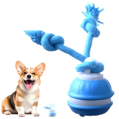 LECDOA Interactive Dog Toys, Smart Touch-Activated Automatic Rolling Ball, USB Rechargeable Bouncing Dog Ball, Suitable for Cats and Small to Medium-Sized Puppies (Blue) - color: Blue