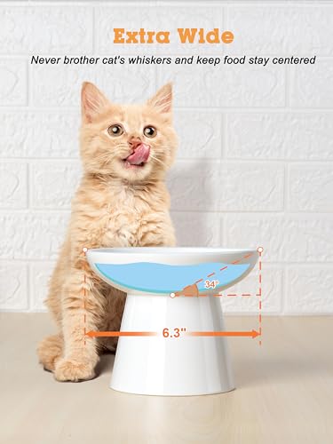 LoeJan Elevated Cat Food and Water Bowls Set, Extra Wide and Raised Ceramic Feeder, Anti-Vomit Whisker-Free Pressure Feeding Bowl for Kittens Adult Small Dogs - color: White, size: 2 Pack (Food & Water Bowls)