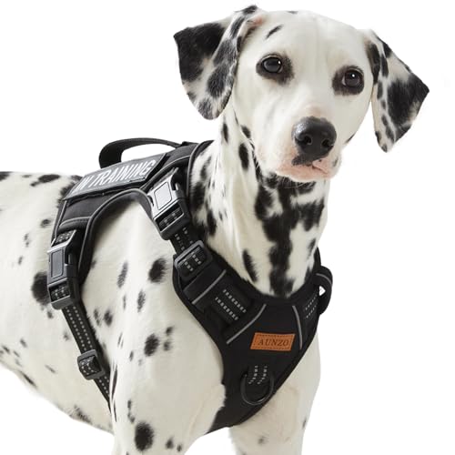 Tactical Dog Harness Medium Sized Dog, No Pull Pet Harness, Adjustable Dog Vest for Easy Walking, Breathable Oxford Material, Reflective Strips with Metal Front Clip Control, Black - color: Black, size: Medium
