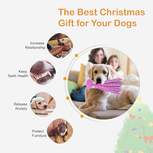 CPYOSN Dog Squeaky Toys Octopus - No Stuffing Crinkle Plush Dog Toys for Puppy Teething, Durable Interactive Dog Chew Toys for Small, Medium and Large Dogs Training and Reduce Boredom, 2 Pack - color: Purple+Green