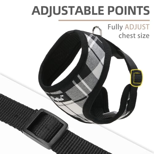 PUPTECK Soft Mesh Dog Harness and Leash Set Pet Puppy Cat Comfort Padded Vest No Pull Harnesses, Black&White, XS - color: Black&White, size: XS (NECK: 10", CHEST: 10"-14")