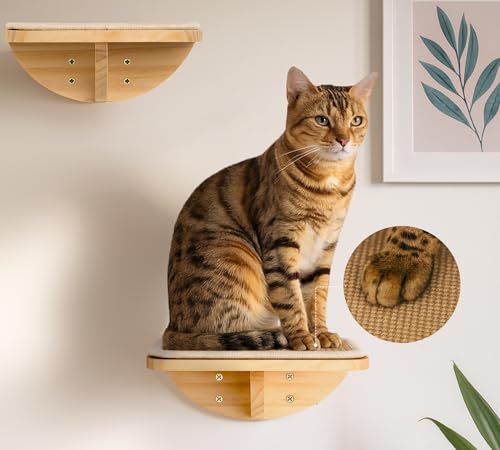 Cat Wall Shelves and Cats Window Perch – Natural Wood 4-Piece Set with Foam-Padded Curved Bed and Felt Steps, Space-Saving Wall Mounted Design - color: Foam/Felt-Wood, size: 1 Curved Bed 1 Shelf 2 Steps