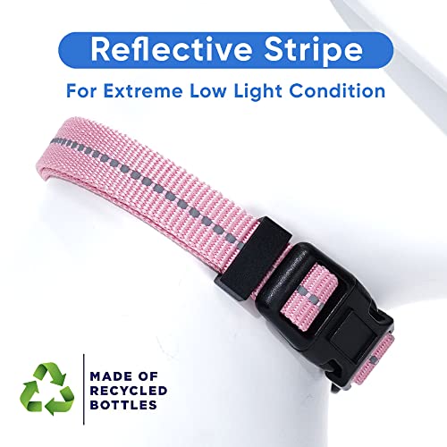 Pawtitas Recycled Dog Collar with Reflective Stitched Puppy Collar Made from Plastic Bottles Collected from Oceans Extra Small Pink Cherry Blossom - color: Recycled Pink, size: X-Small (Pack of 1)
