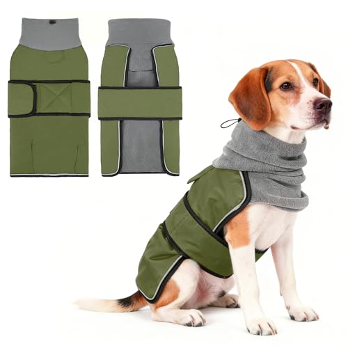 KOOLTAIL Dog Winter Coat for Small Medium Dogs, Waterproof&Windproof Puppy Jacket with Fleece Lining and High Collar for Cold Weather, Reflective Warm Pet Snowsuit Vest Clothes with Leash Hole,Green L - color: Green, size: Large
