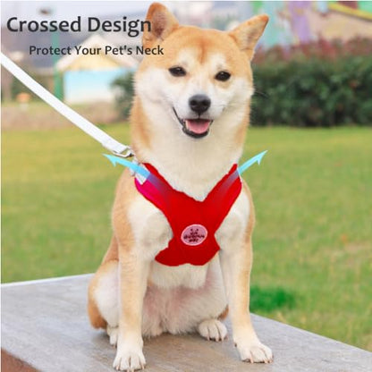 Dog Harness Pet X Frame No Pull Step-in Harnesses with Leash Set, Adjustable Reflective Choke Free Puppy with Padded Vest for Small, Medium Dogs and Cats Walking Training - color: Red, size: Small