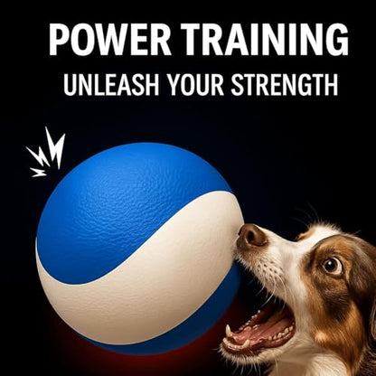 Squeaky Dog Toy – Durable Rubber Dog Ball for Medium & Large Dogs, Tough Interactive Fetch Toy for Chewers, Outdoor Training & Play Ball, Floating Water Play Gift.Ocean - color: Ocean