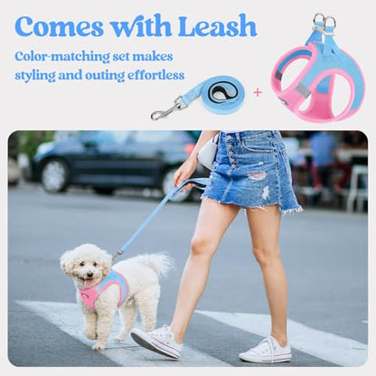 rabbitgoo Dog Harness Small Sized and Leash Set, Step in Soft Light Puppy Vest, Breathable Mesh Pet Harness, Reflective for Safe Easy Walking, Blue & Light Pink S - color: Blue & Light Pink, size: S (chest: 15.1 - 16.5")