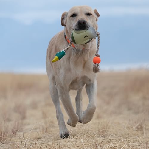 Browning Pet Training Tools, Durable Dog Toys for Tug and Fetch, Rubber Duck Rope, One Size - color: Rubber Duck Rope