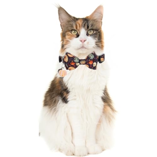 Thanksgiving Day Cat Collar Fall Breakaway with Bow Tie and Bell Autumn Holiday for Kitty Adjustable Safety - color: Pumpkin-bow