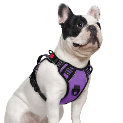 rabbitgoo Dog Harness Small Sized Dog, No Pull Pet Harness with Soft Padded Handle, Adjustable Reflective Vest with 3 Buckles, Easy Walking Harness with 2 Leash Clips, Purple, S - color: Purple, size: Small
