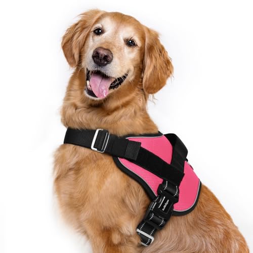rabbitgoo Dog Harness for Large, Easy On Pet Vest with One Buckle, No Pull Adjustable Service Harness with D-Ring & Handle, Reflective for Safety Walking, Training, Pink, XL - color: Pink, size: X-Large