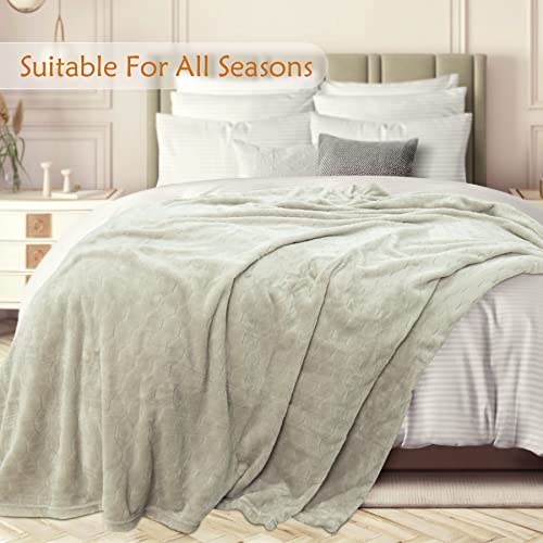 TOONOW Fleece Blanket Textured Fuzzy Plush Throw Blanket Twin Size 60" x 80", Super Soft Fluffy Bed Blanket Geometric Pattern Comfy Microfiber Flannel Blankets for Couch, Bed, Sofa, Pumice Stone - color: Pumice Stone, size: Twin- 60" x 80"