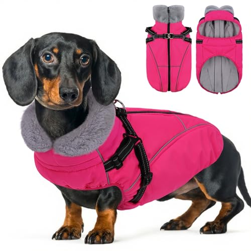 Dog Coats for Large Dogs, Dog Puffer Jacket with Harness Built in, Pet Warm Winter Vest, Rose L - color: Rose, size: Large