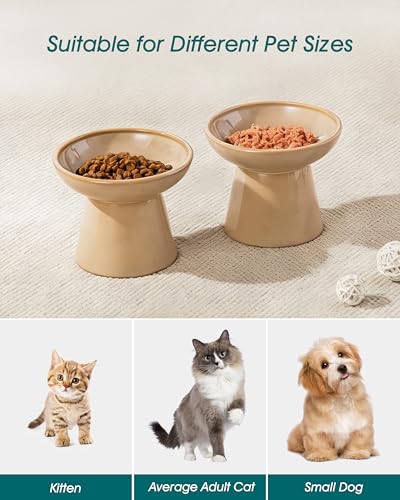 vancasso Elevated Cat Food Bowls 2-Pack, 6.2" Wide Shallow Cat Feeding Bowl for Whisker Fatigue, 5.1" Height Ceramic Raised Food Bowls for Senior Cats, Anti Vomit, Brown - color: Brown-Food 2-pack