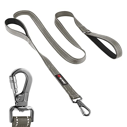 Tuff Pupper Heavy Duty Double Handle Leash | Twist Locking Carabiner Clip | Safety Lock for Strong Dogs | Reflective for Safe Night Walks | 6 Foot Leash | For Medium & Large Dogs - color: Steel Grey