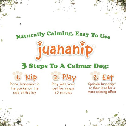 Doggijuana Taco Chewsday Bundle | Tuffer Chewer Taco Plush Squeaky Dog Toy and Juananip Refill Bottle | Calming Aid for Dogs | Organic Catnip Grown in North America | Promotes Relaxation and Play - style: Taco & Juananip