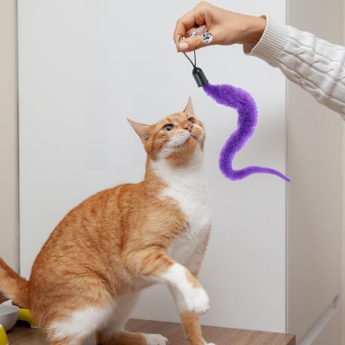 Worm Cat Toy with Foil, 10 PCS Cat Wand Attachments Worms Toy Interactive Cats Wand Attachments Worms Toys for Indoor Cats