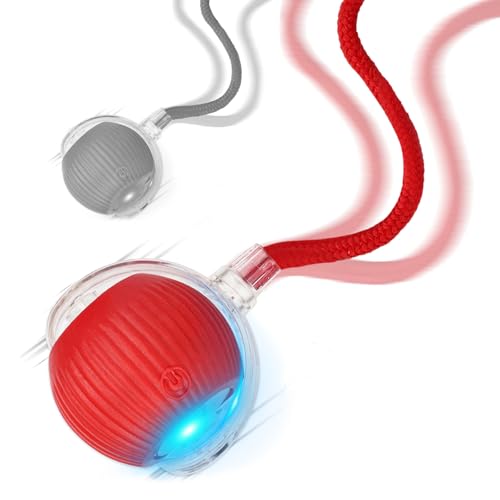 Goosheep 2025 New 2Pack Cat Ball Kitten Toys for Indoor Interactive Kitty Ball Toy Speedy Tail 360° Automatic Rolling for Dog, Cat(Red Grey) - size: 2 Pack