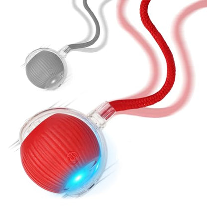 Goosheep 2025 New 2Pack Cat Ball Kitten Toys for Indoor Interactive Kitty Ball Toy Speedy Tail 360° Automatic Rolling for Dog, Cat(Red Grey) - size: 2 Pack