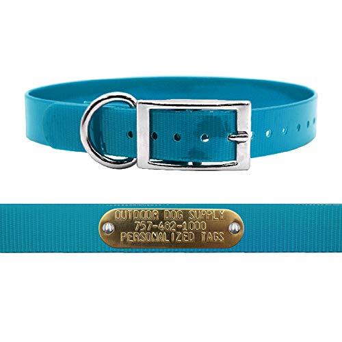 Outdoor Dog Supply 1" Heavy Duty Waterproof D-Ring Dog Collar for Medium & Large Dogs with Custom 3/4" Brass Nameplate (Teal, 18") - color: Teal, size: 18" Long