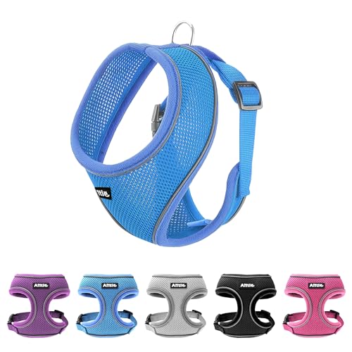 AIITLE Breathable Dog Harness for Small Dogs, Comfortable Adjustable Mesh Vest with Quick-Release Buckle, Reflective Safety Strips – Perfect for Poodles, Teddy Dogs (M, Blue) - color: Blue, size: M