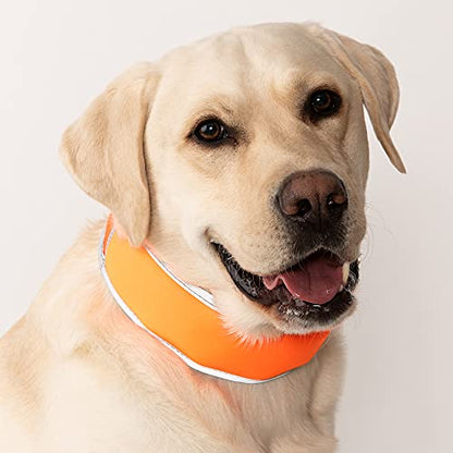 CoolerDog Hi-Vis Cooling Dog Collar for Large Dogs – Reflective Re-Freezable Ice Collar for Hot Weather & Heat Relief (Orange, Large) - size: Large