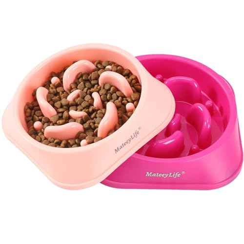 MateeyLife Slow Feeder Dog Bowls 2PCS, Anti-Choking Puzzle Dog Food Bowls, Anti-Slip Interactive Feeding Slow Down Eating, Bloat Stop Maze Dishes for Medium Breeds Pink&Purple - color: D-Pink&Purple, size: Medium