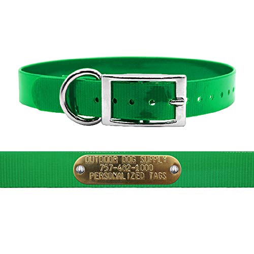Outdoor Dog Supply 1" Heavy Duty Waterproof D-Ring Dog Collar for Medium & Large Dogs with Custom 3/4" Brass Nameplate (Dark Green, 18") - color: Dark Green, size: 18" Long