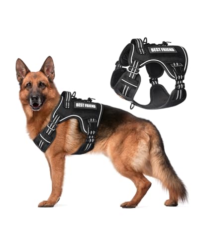 Tactical Dog Harness No-Pull Military Vest for Medium & Large Dogs, Adjustable Reflective Escape-Proof Vest with MOLLE System, Handle Control for Training, Walking, Outdoor – Black - color: Black, size: M (Neck: 16"-22", Chest: 22"-33")