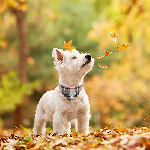 EXPAWLORER Dog Collar and Leash Set - Plaid Dog Collar with Pawprints and Bow Tie, Cat-Friendly, Beige S-M - color: Beige, size: S-M