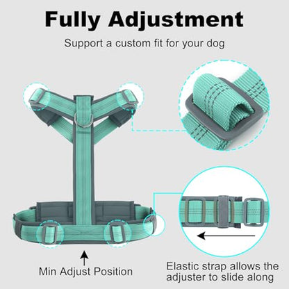 Plutus Pet No Pull Dog Harness, Adjustable Nylon Harness with Soft Padding, Reflective and Heavy Duty Dog Harness for Small, Medium, Large Dogs(Teal, S) - color: Teal, size: S
