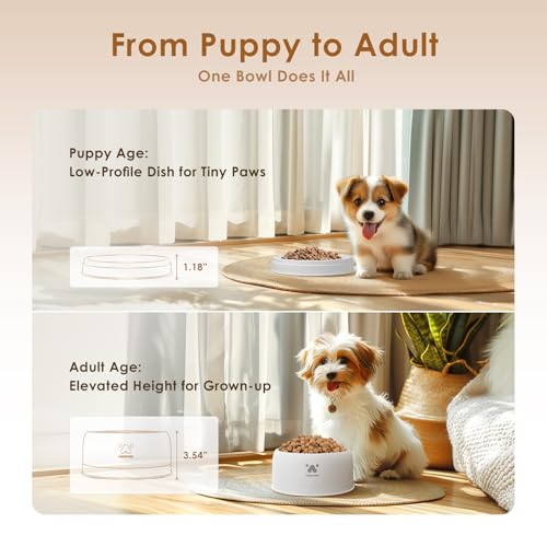 PAWGETHER® Stainless Steel Dog Bowls, Dog Food Water Bowl with Non-Slip Base Two-Piece Design Easy Clean Dishwasher Safe White 34oz + 12oz - color: White (34oz + 12oz)