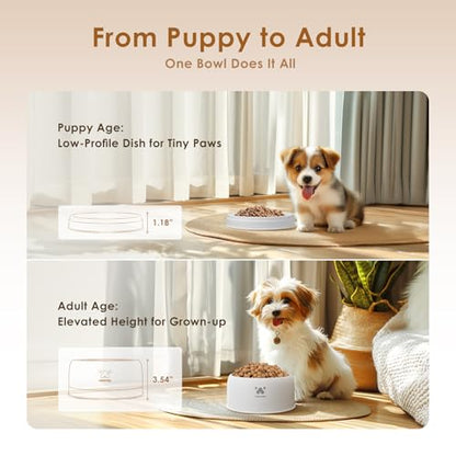 PAWGETHER® Stainless Steel Dog Bowls, Dog Food Water Bowl with Non-Slip Base Two-Piece Design Easy Clean Dishwasher Safe White 34oz + 12oz - color: White (34oz + 12oz)