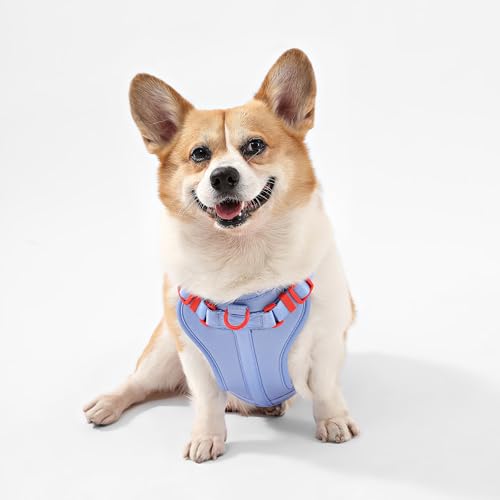 HNS1002E Arlo Medium Adjustable Soft Padded No Pull Pet Harness with 3 Buckles and 3 Leash Clips, Sangria - color: Periwinkle, size: Medium (Chest: 18 - 28")