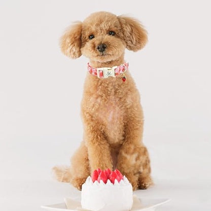 Elegant little tail Dog Collar, Strawberry Pattern Pet Collar Pink Durable Spring Female Spring Collar Adjustable Cotton Pet Collar with Quick Release Buckle for Small Dogs - color: Strawberry, size: Small (Pack of 1)
