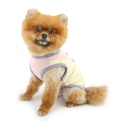 PAIDEFUL Summer Cooling Dog Shirt for Small Dogs Breathable Mesh Pet T-Shirts UV Sun Protection Puppy Vest Soft Lightweight Doggie Tank Top Fashion Chihuahua Tee Clothes Cat Apparel D-Ring,Pink,L - color: pink, size: XL