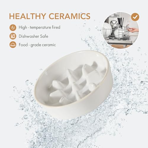 Havniva 1.2 Cup Elevated Slow Feeder Dog Bowls, 7.3” Dog Slow Feeding Bowls + 6.1” Ceramic Dog Water Bowls Set with Acacia Wood Stand, Dog Food Bowls Puzzle Feeder for Small Dogs Non-Slip Anti-choking - color: 2 x White + Stand - C, size: M- 7.3inch / 1.2