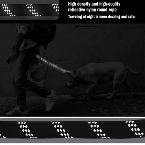 Dog Leash with Soft Padded Handle & Silver Reflective Strips - 24-Inch Heavy Duty Nylon Dog Lead, Anti-Chew Layer, 360° Swivel Clip for Tangle-Free Walking (Black)