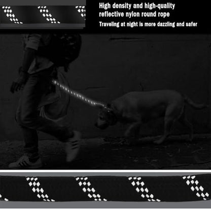 Dog Leash with Soft Padded Handle & Silver Reflective Strips - 24-Inch Heavy Duty Nylon Dog Lead, Anti-Chew Layer, 360° Swivel Clip for Tangle-Free Walking (Black)