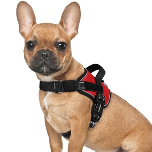 rabbitgoo Dog Harness for Small, Easy On Pet Vest with One Buckle, No Pull Adjustable Service Harness with D-Ring & Handle, Reflective for Safety Walking, Training, Red, S - color: Red, size: Small