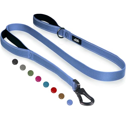 TwoEar 4FT 1IN Strong Dark Blue Dog Leash with 2 Padded Handles, Traffic Handle Extra Control, Comfortable Soft Dual Handle, Auto Lock Hook, Reflective Walking Lead for Small Medium and Large Dogs - color: Ultramarine, size: 1 in x 4 ft