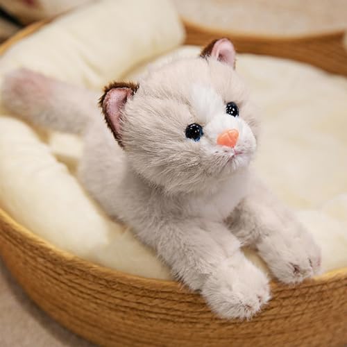 PEACH CAT Cat Stuffed Animal 9.8" Realistic Kitten Plushies Soft Plush Toys Gifts for Kids Grey and White - style: 9.8“ Grey and White Cat