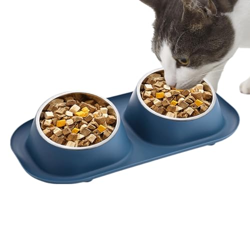 awakentti Double Dog Bowl, Stainless Steel Dog Bowl with No Spill No Skid Silicone Mat,Not Easy to Break, Pet Bowls & Dog Water Bowls for Small Puppies, Cats, Dogs and Medium Pets (Blue) - color: Blue