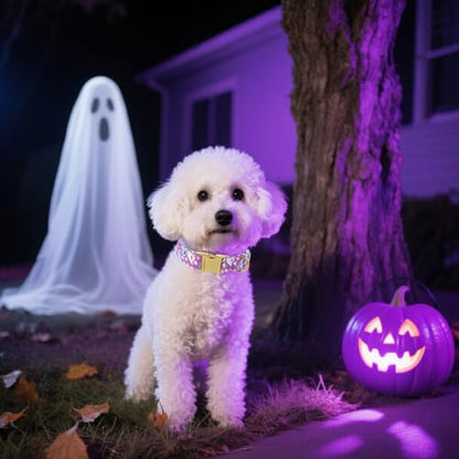 Maca Bates Halloween Dog Collar Spooky Ghost Dogs Collars Purple Puppy Colar Durable Soft Adjustable Birthday Gift for XS Small Medium Large XL Girls Boys Male Female Dogs Pet with Metal Buckle - color: Halloween-Basic-purple ghost, size: S