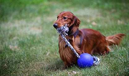 Jolly Pets Romp-n-Roll Rope and Ball Dog Toy, 4.5 Inches/Small, Blue (645 BL), for Small Breeds - color: Blue, size: Small (4.5 in)