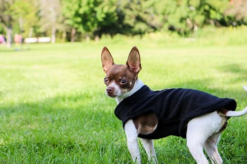JACKO & CO - Fleece Vest Dog Sweater with Leash Ring - Soft, Warm & Lightweight Pullover Coat for Small & Medium Dogs, Puppies & Cats - Cozy Fall/Winter/Spring Pet Jacket (Black, XS 2-4lbs) - color: Black, size: XS (2-4lbs)
