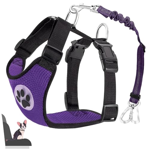 Lukovee Dog Seat Belt for Car, Adjustable Dog Car Harness for Large Medium Small Dogs, Soft Padded & Breathable Mesh Dog Seatbelt with Car Strap and Carabiner (Purple,XXS) - color: Purple, size: XX-Small