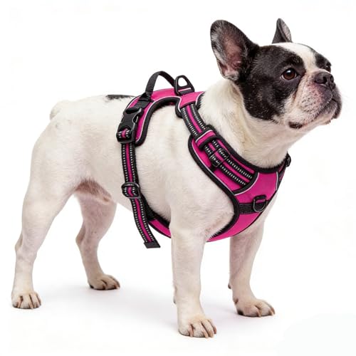 Hot Pink No-Pull Dog Harness with 2 Leash Clips，Soft Padded Vest for Medium Dog, Adjustable Reflective Dog Vest Easy to Put on and Take Off, (Neck: 14"~20", Chest: 21"~27", Hot Pink M) - color: Hot Pink, size: Medium