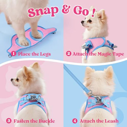 rabbitgoo Dog Harness Small Sized and Leash Set, Step-in Breathable Pet Harness, Soft Walking Reflective Puppy Vest for Small Dogs, Pink & Light Blue, XS - color: Pink & Light Blue, size: XS (Chest: 13.3 - 15.5")