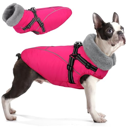 Queenmore Dog Jackets for Large Dogs,Dog Coat with Harness Built in,Waterproof Dogs Coats with Zipper On Back,Warm Fleece Lining Cold Weather Pet Coats with Furry Collar for Labrador,Rosered,XL - color: Rose Red, size: X-Large